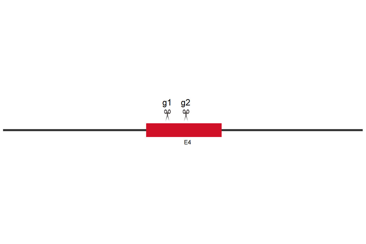 NR1H2 Knockout cell line(293T) Target region