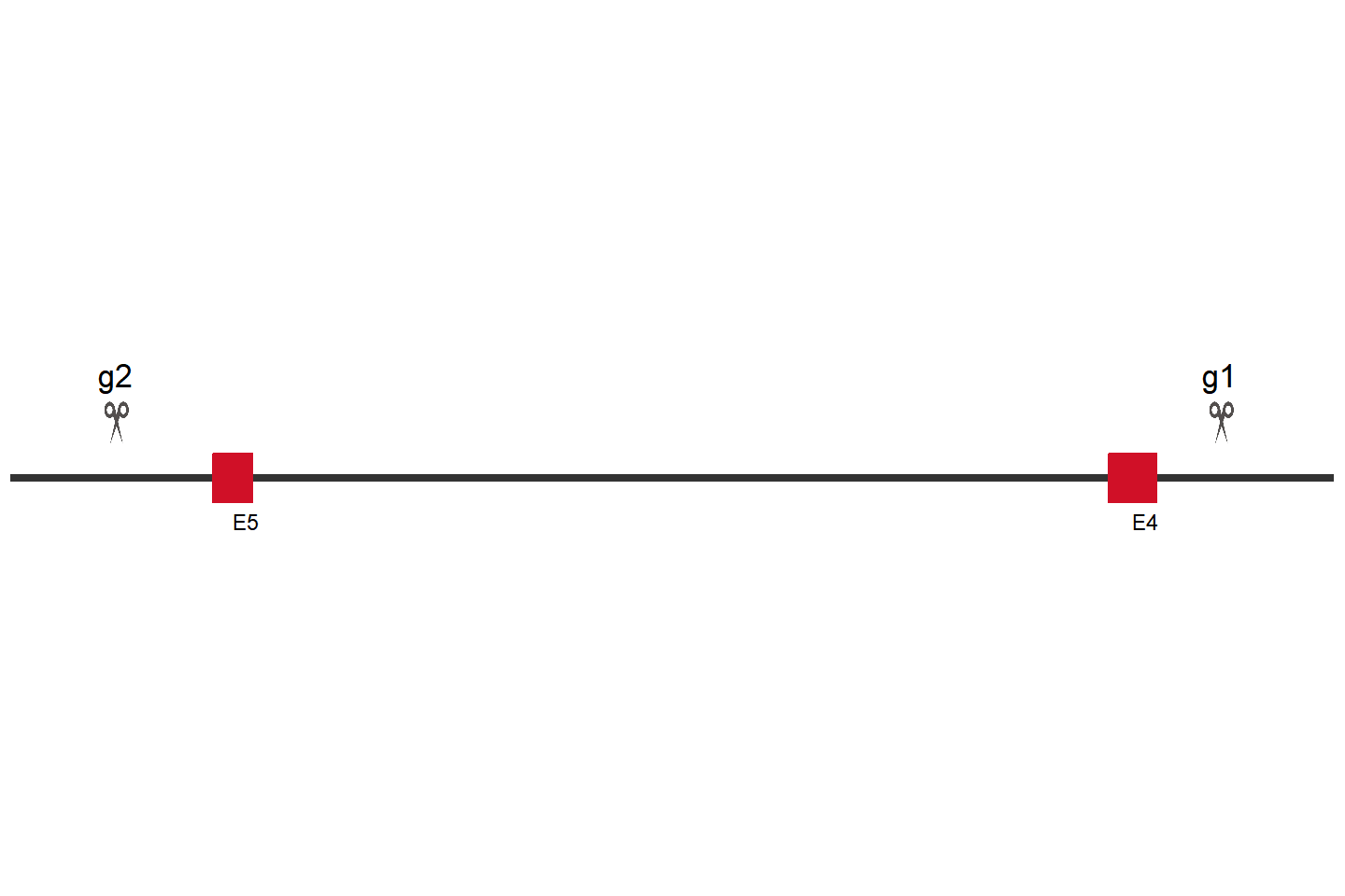 PIGK Knockout cell line(HeLa) Target region