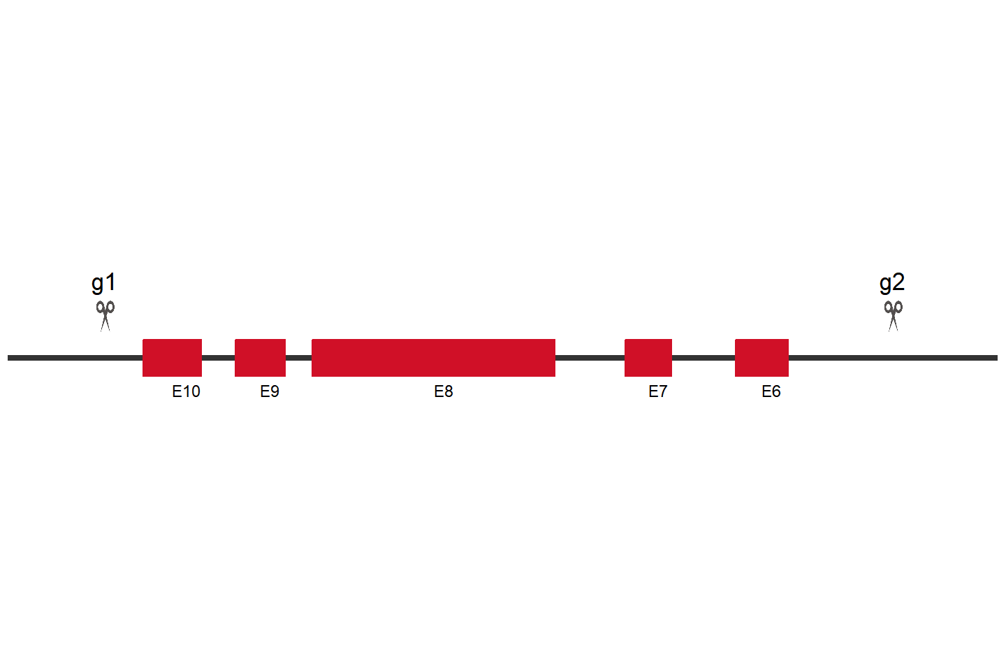 ATG9A Knockout cell line(NCI-H1299) Target region