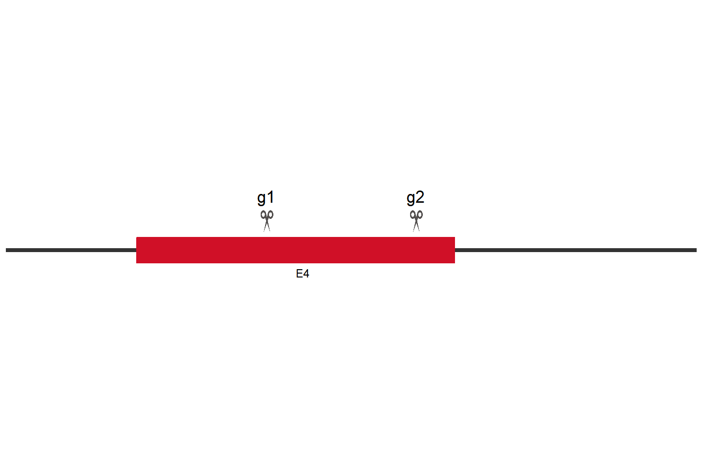 NR1H4 Knockout cell line (Hep 3B2.1-7) Target region