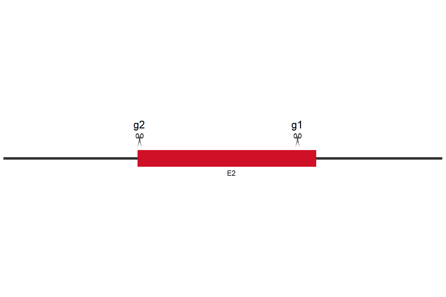 LRP6 Knockout cell line(293T) Target region