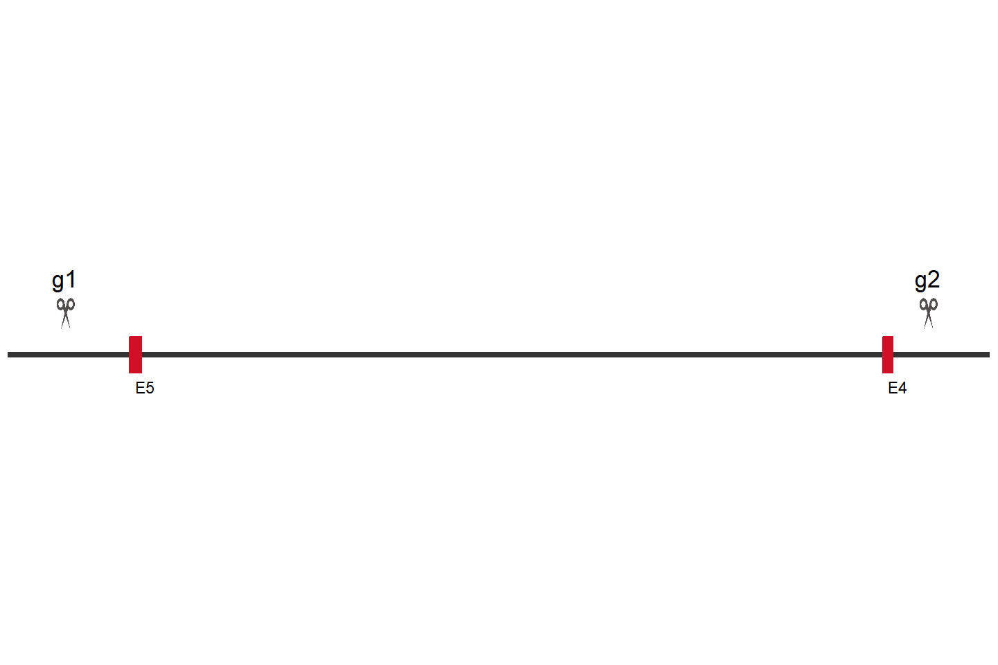 IGF2BP2 Knockout cell line(HSC3) Target region