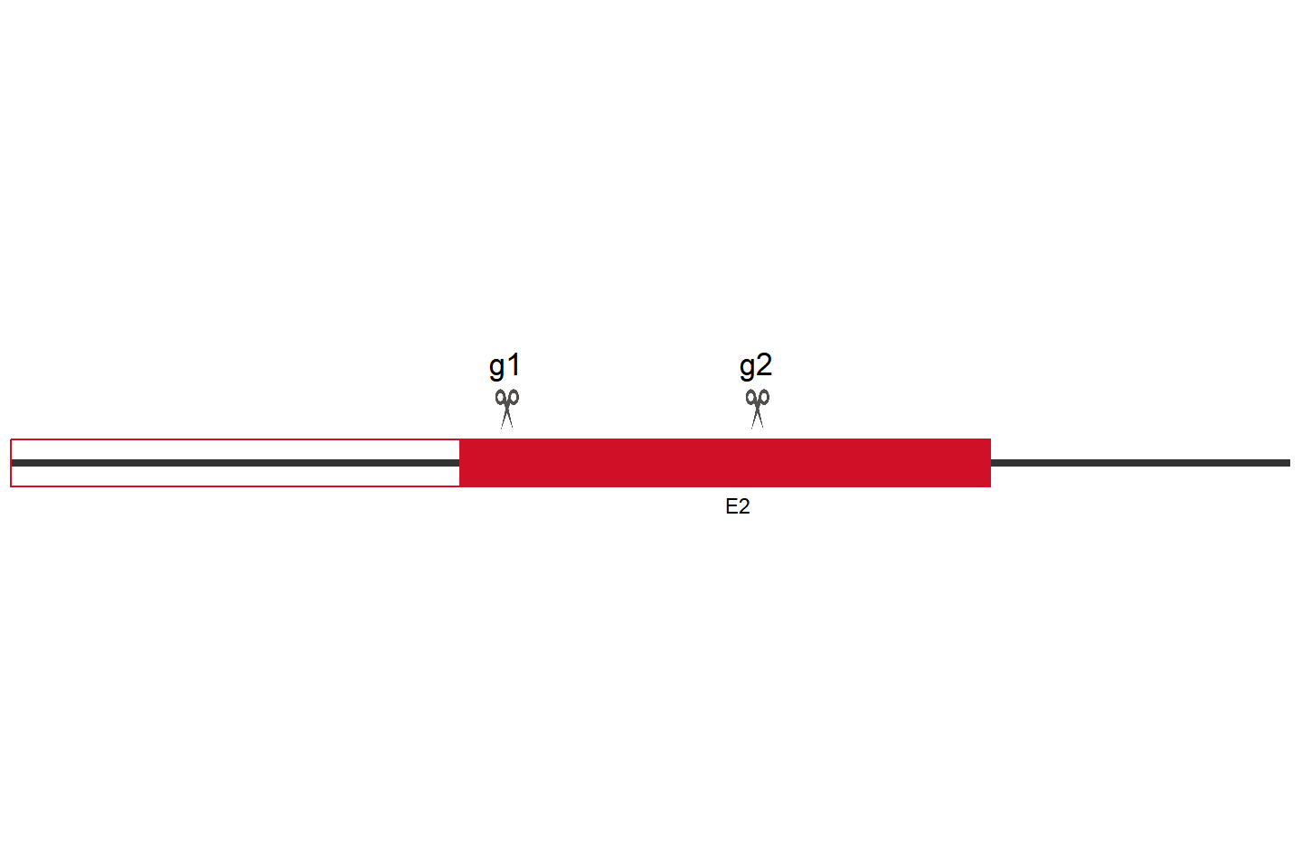 PIK3R2 Knockout cell line (A549) Target region