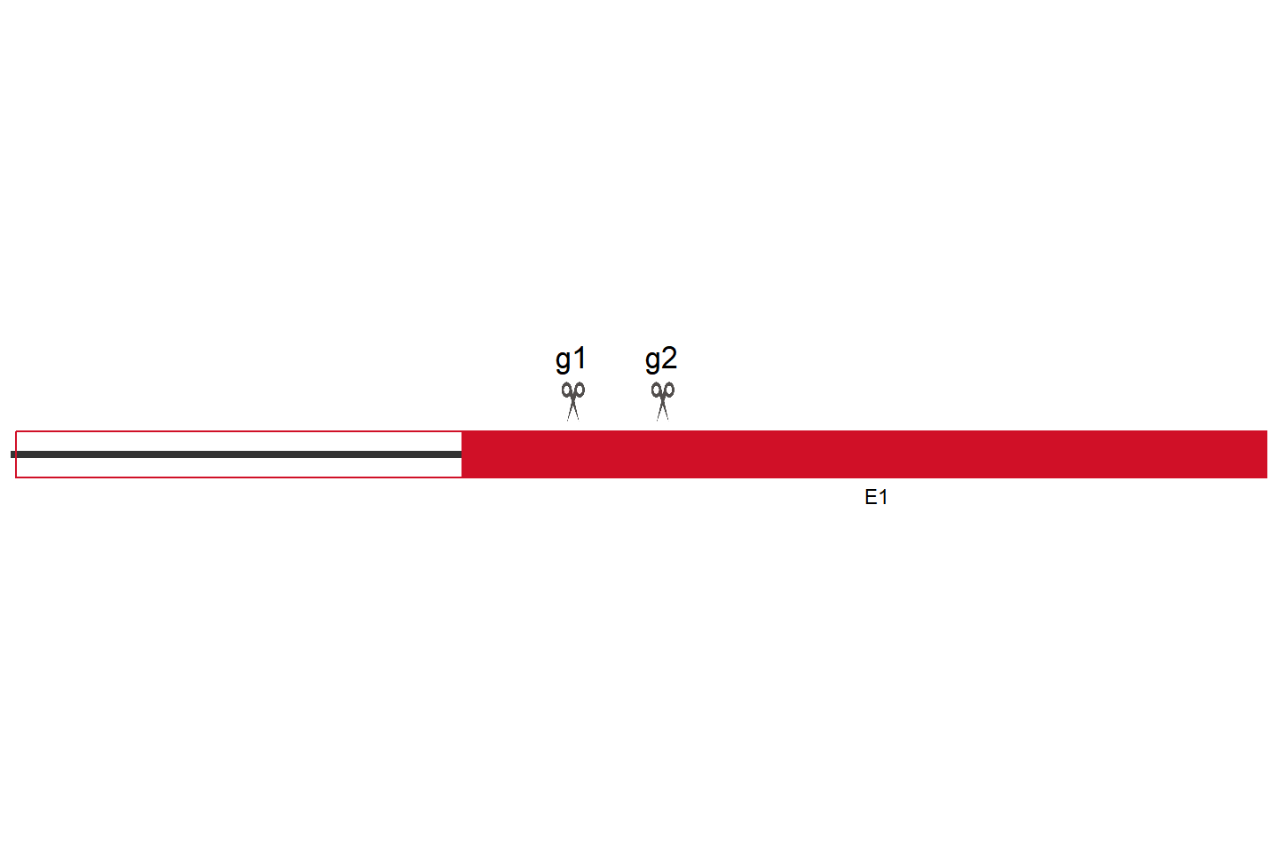 GPR39 Knockout cell line (A549) Target region