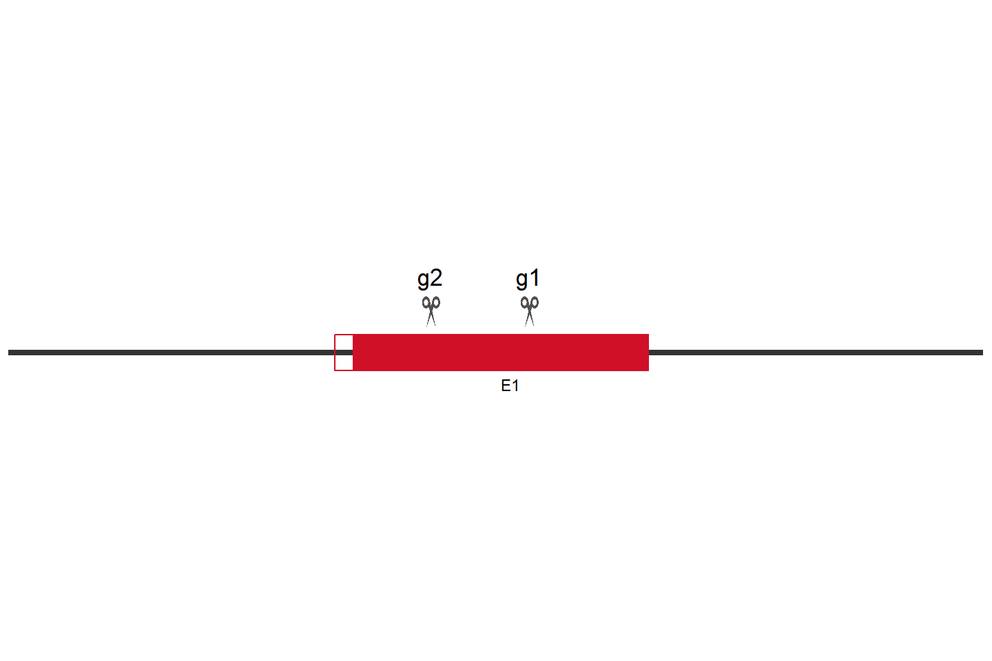 ADPRS Knockout cell line (HCC1806) Target region