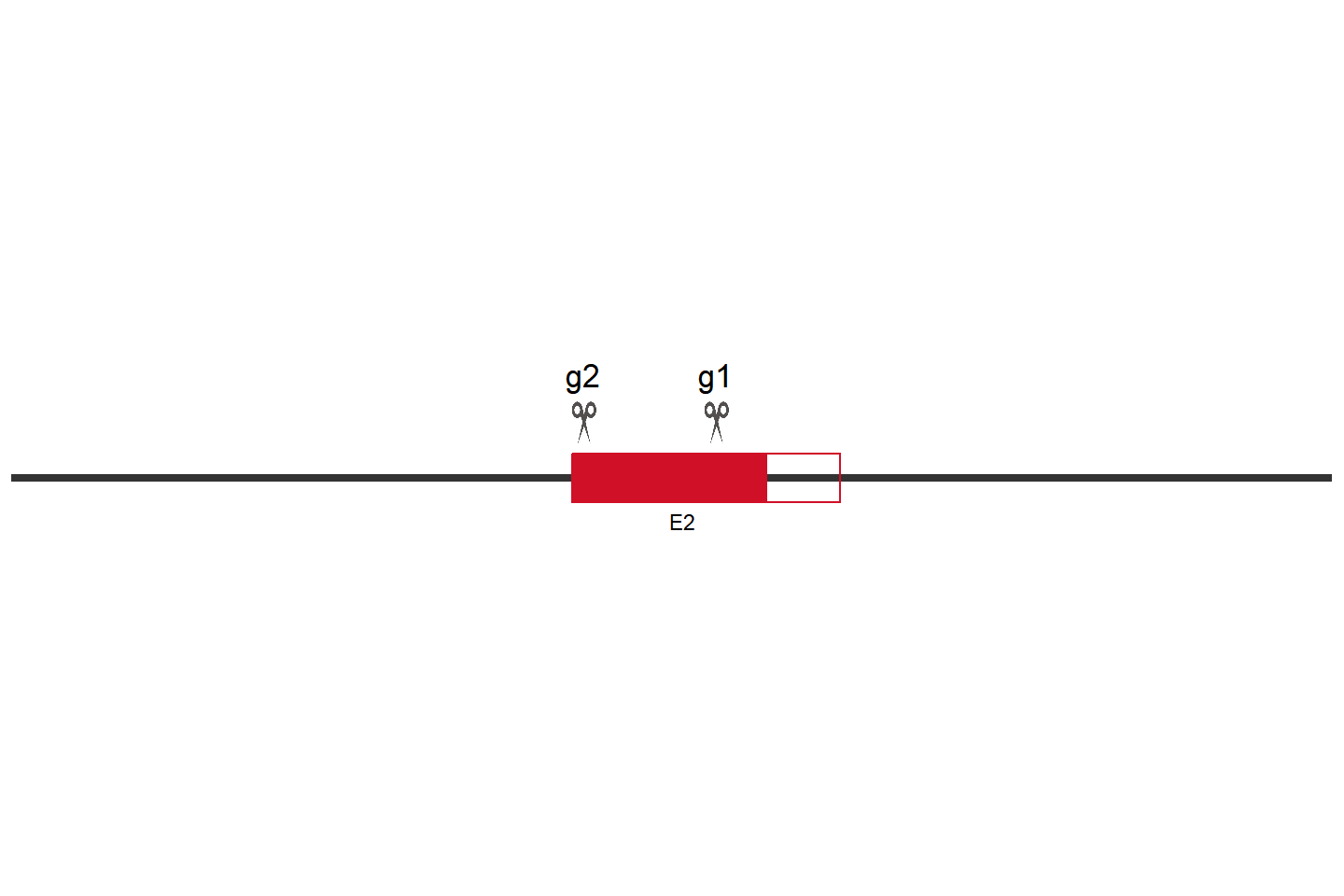 SEMA3C Knockout cell line (A549) Target region