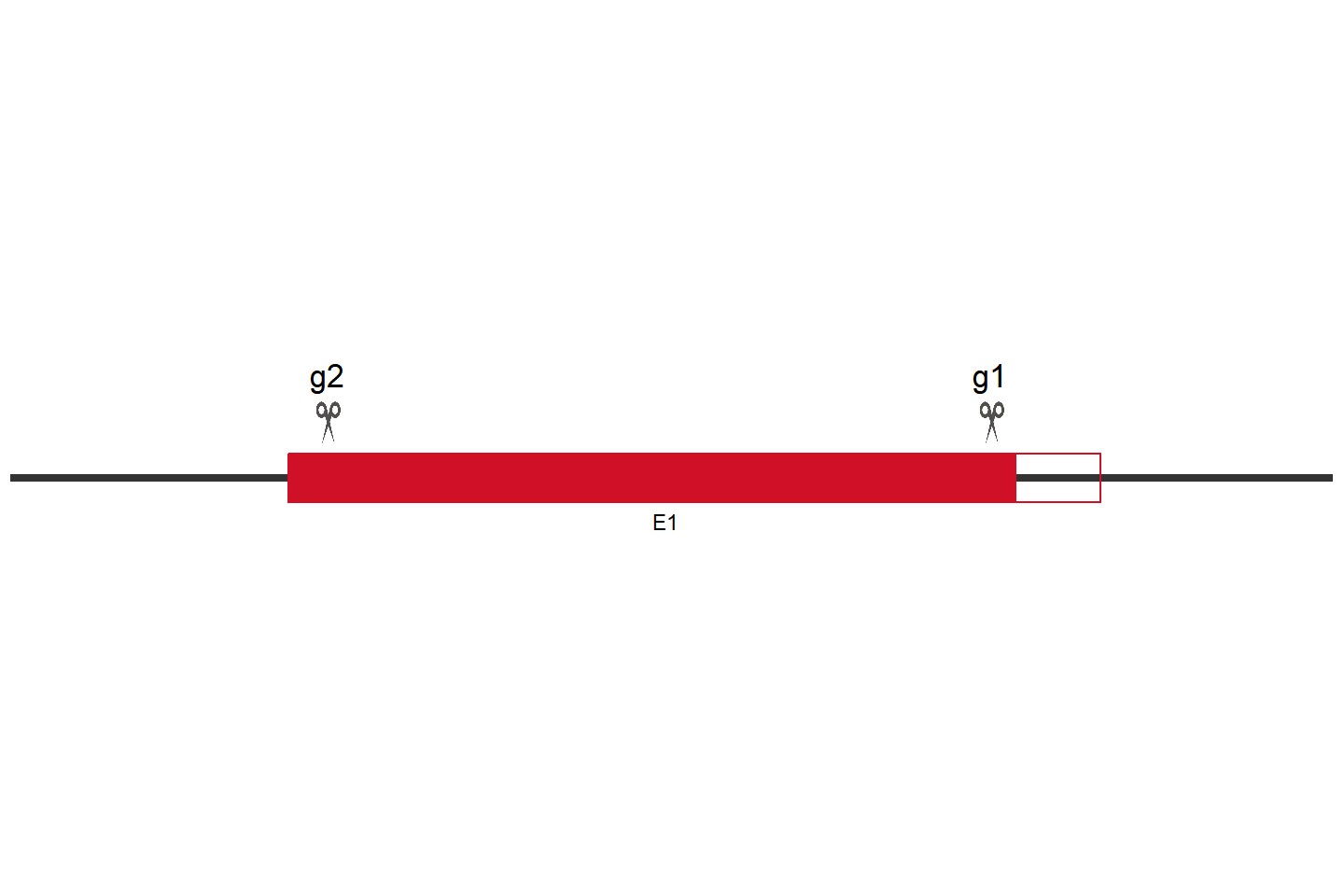 MCL1 Knockout cell line (HCT 116) Target region