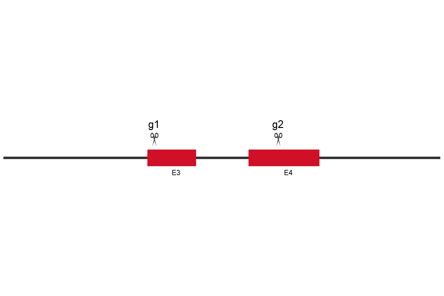 EMP1 Knockout cell line (T24) Target region