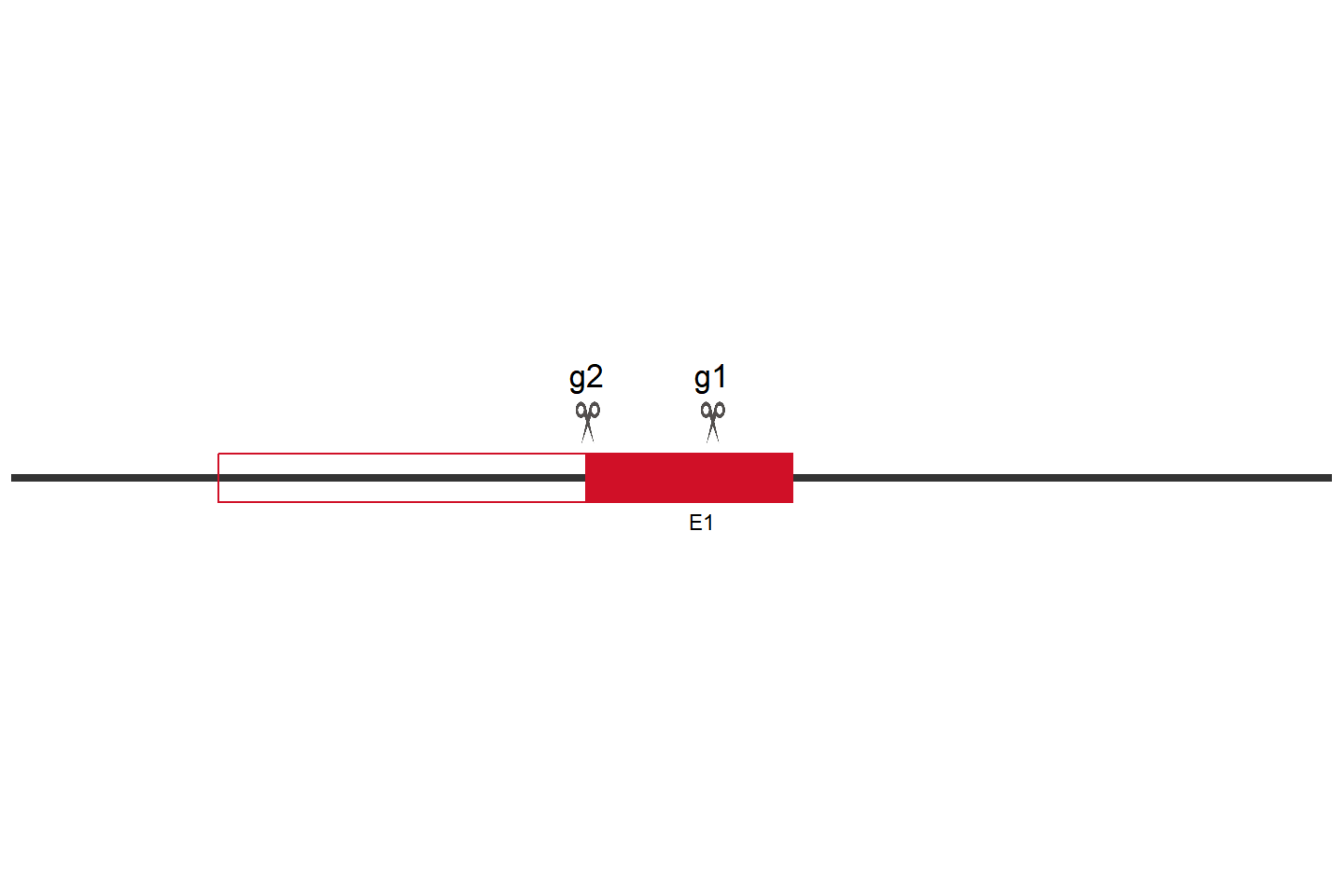 F2RL3 Knockout cell line （Huh-7） Target region