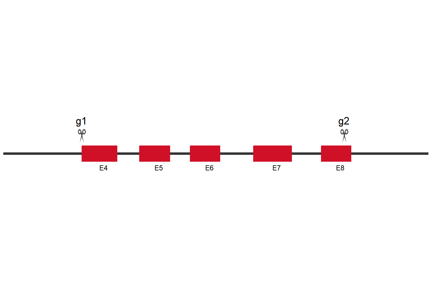 TRIM28 Knockout cell line (HCT 116) Target region