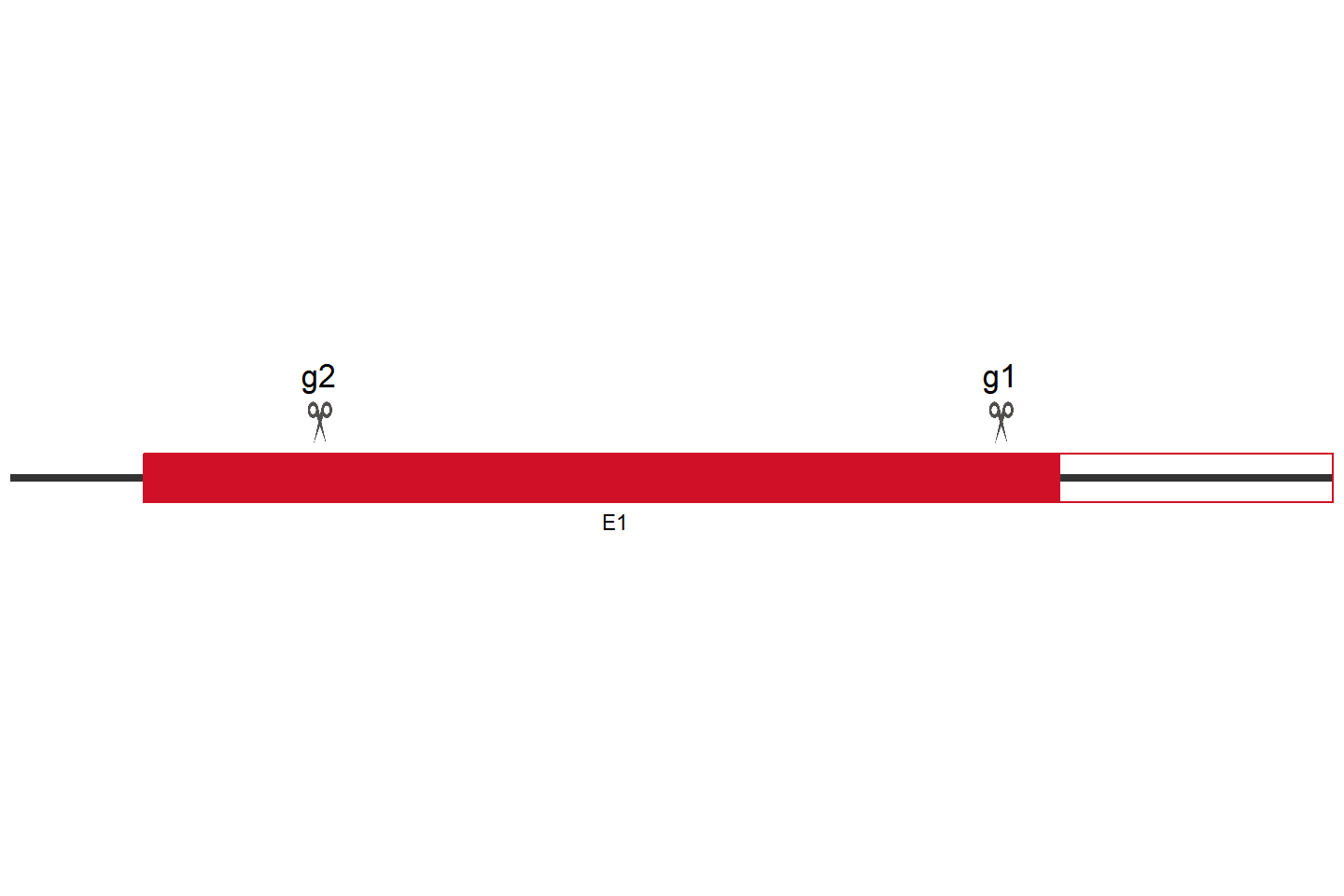 EGLN1 knockout cell line （A549） Target region