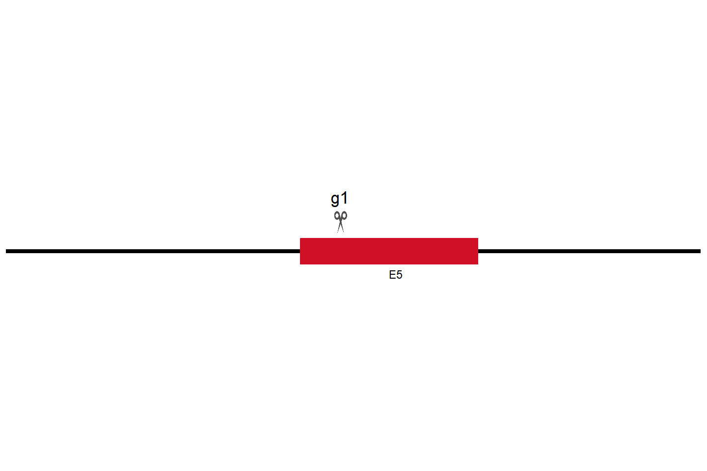 MAVS knockout cell line (A549) Target region