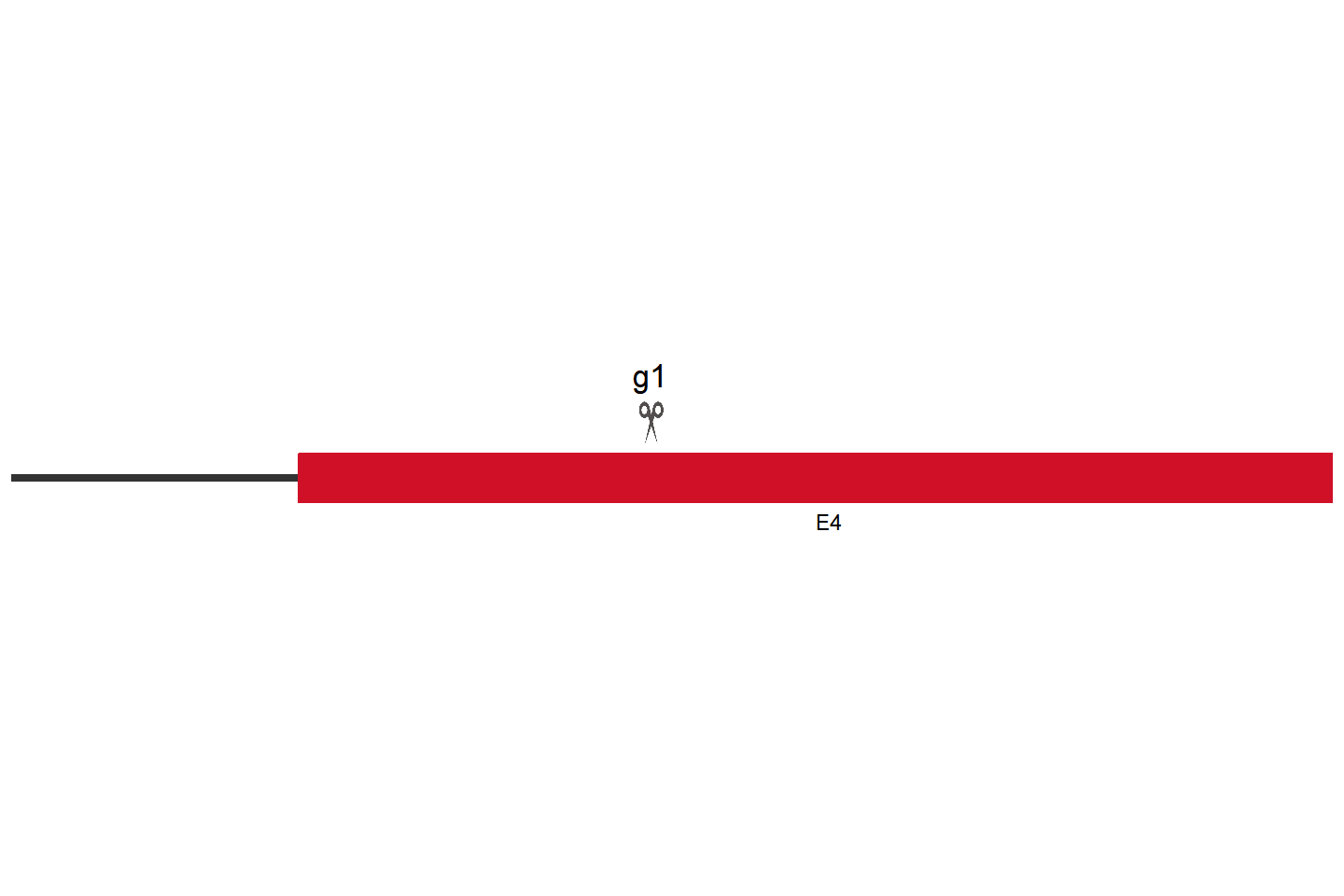 NLRP3 Knockout cell line(THP-1) Target region