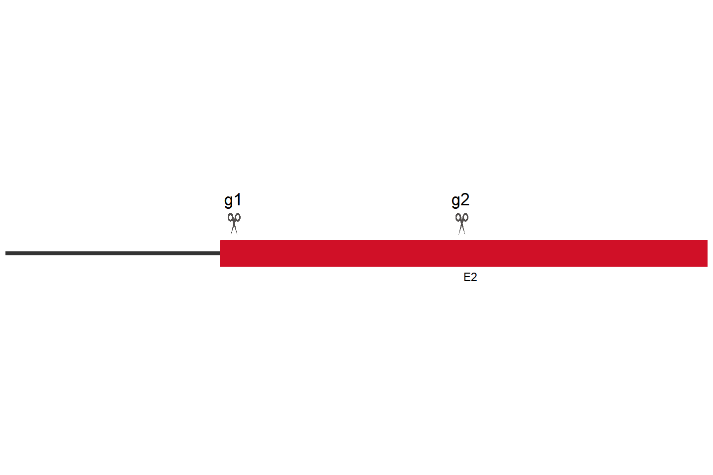 F2R Knockout cell line (Hep G2) Target region