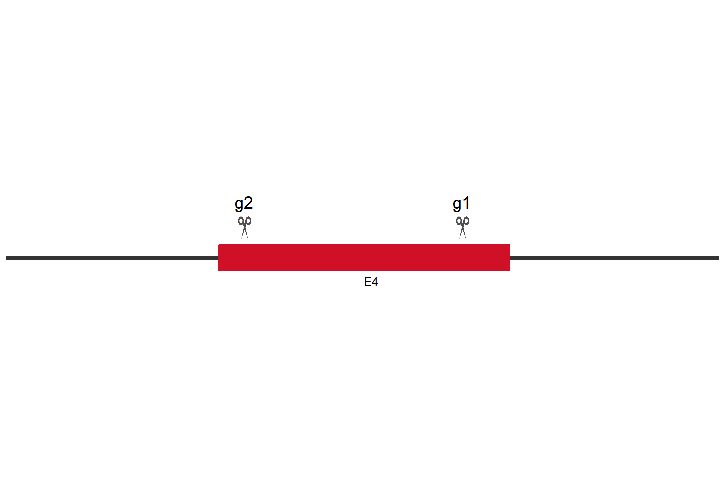 PIM1 Knockout cell line(NCI-H1299) Target region