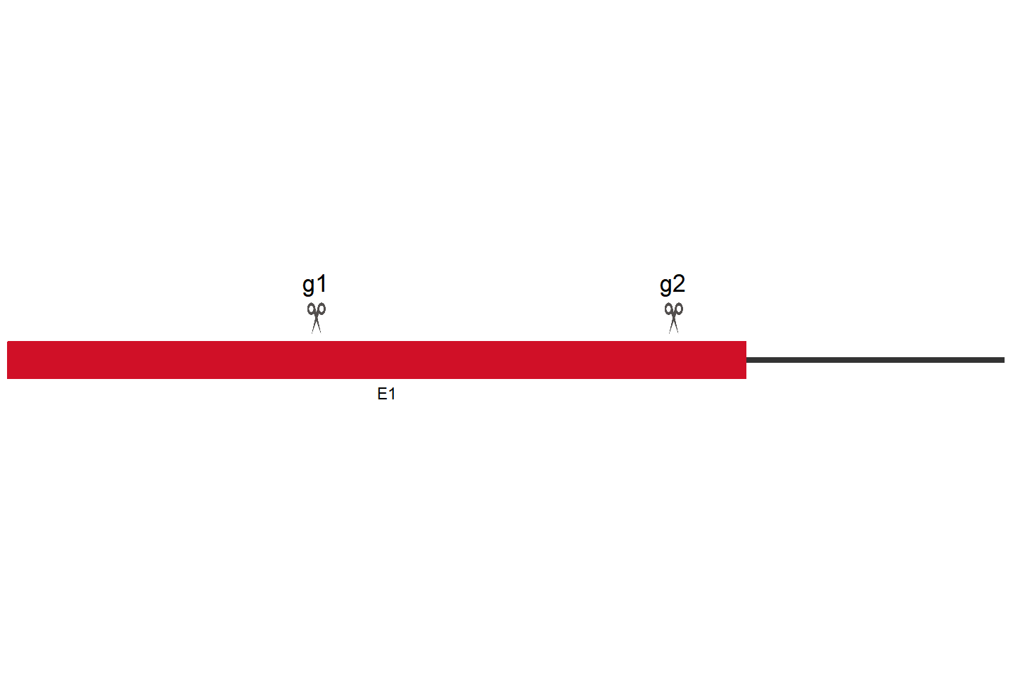 ALKBH5 Knockout cell line(HEK293) Target region