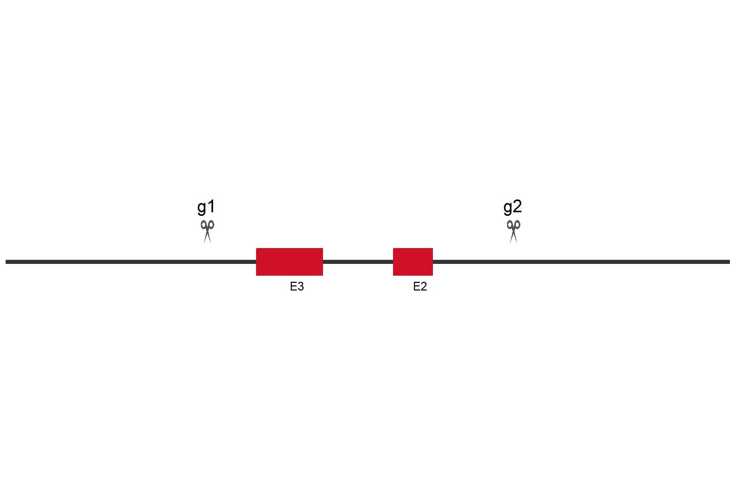 AHNAK2 Knockout cell line(A549) Target region