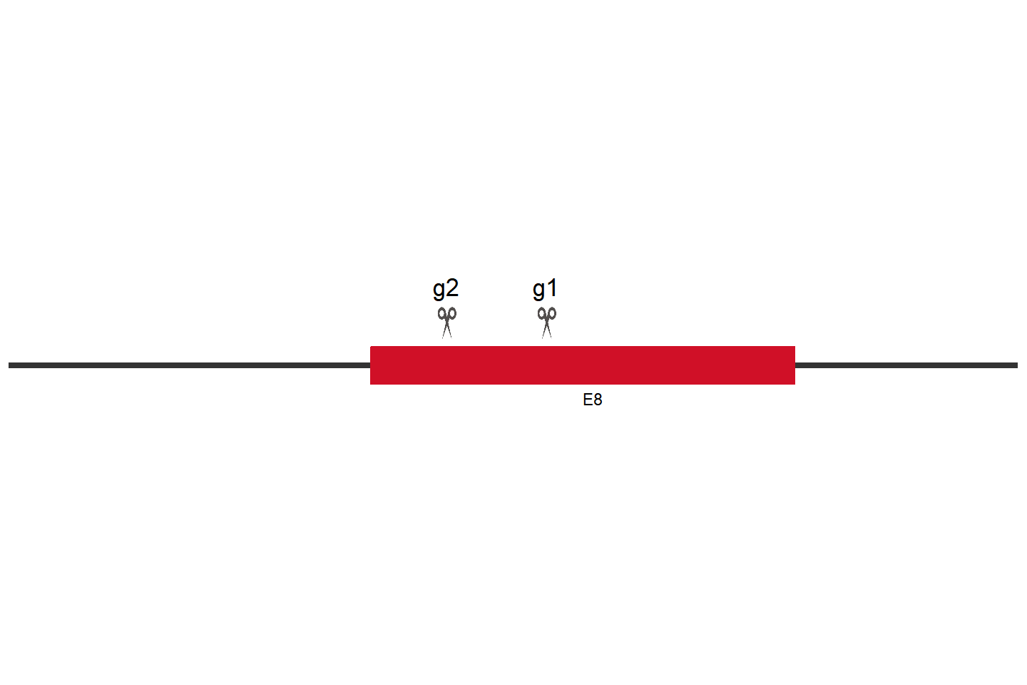 POT1 Knockout cell line (HEK293) Target region