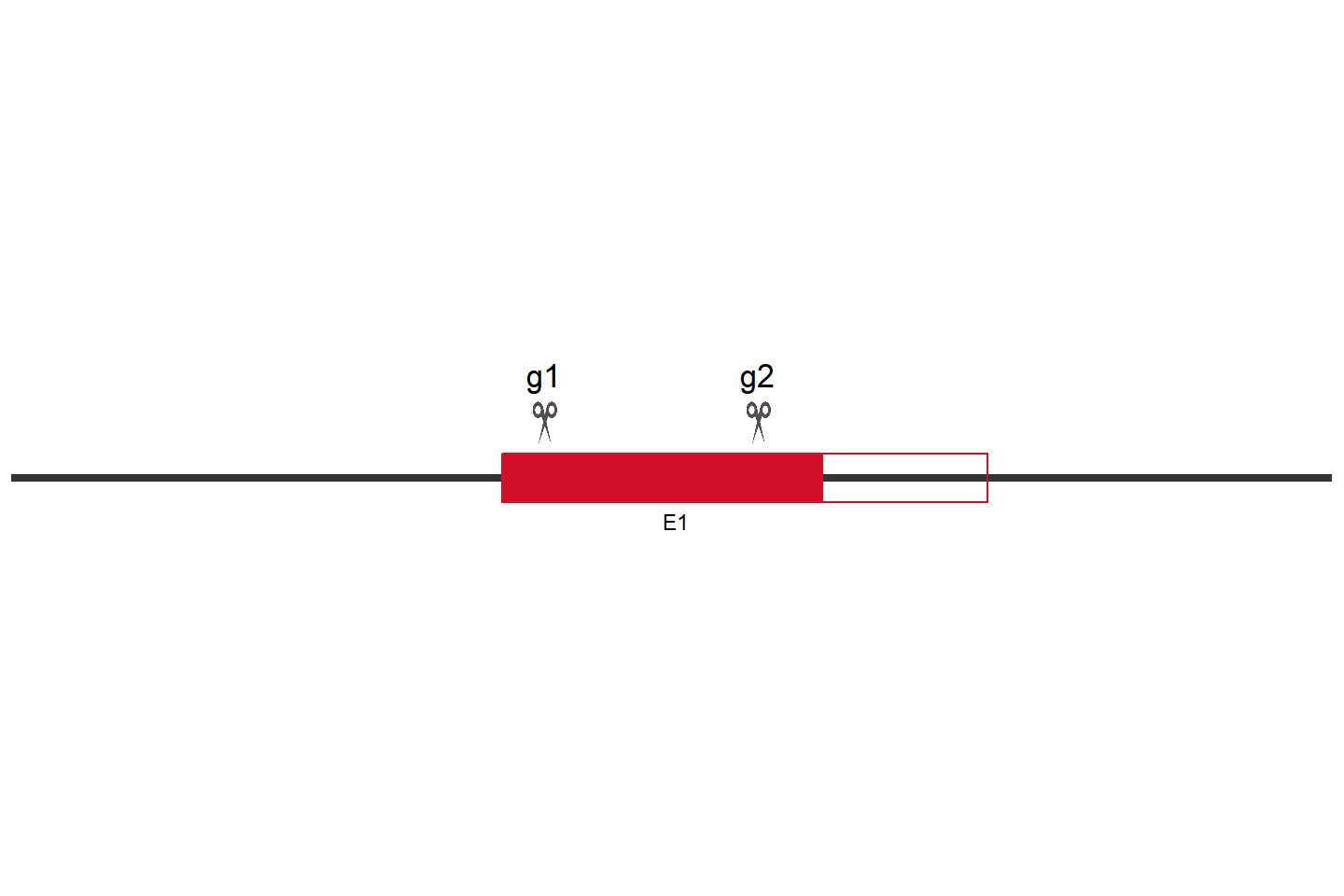 NUP133 Knockout cell line (Hep G2) Target region