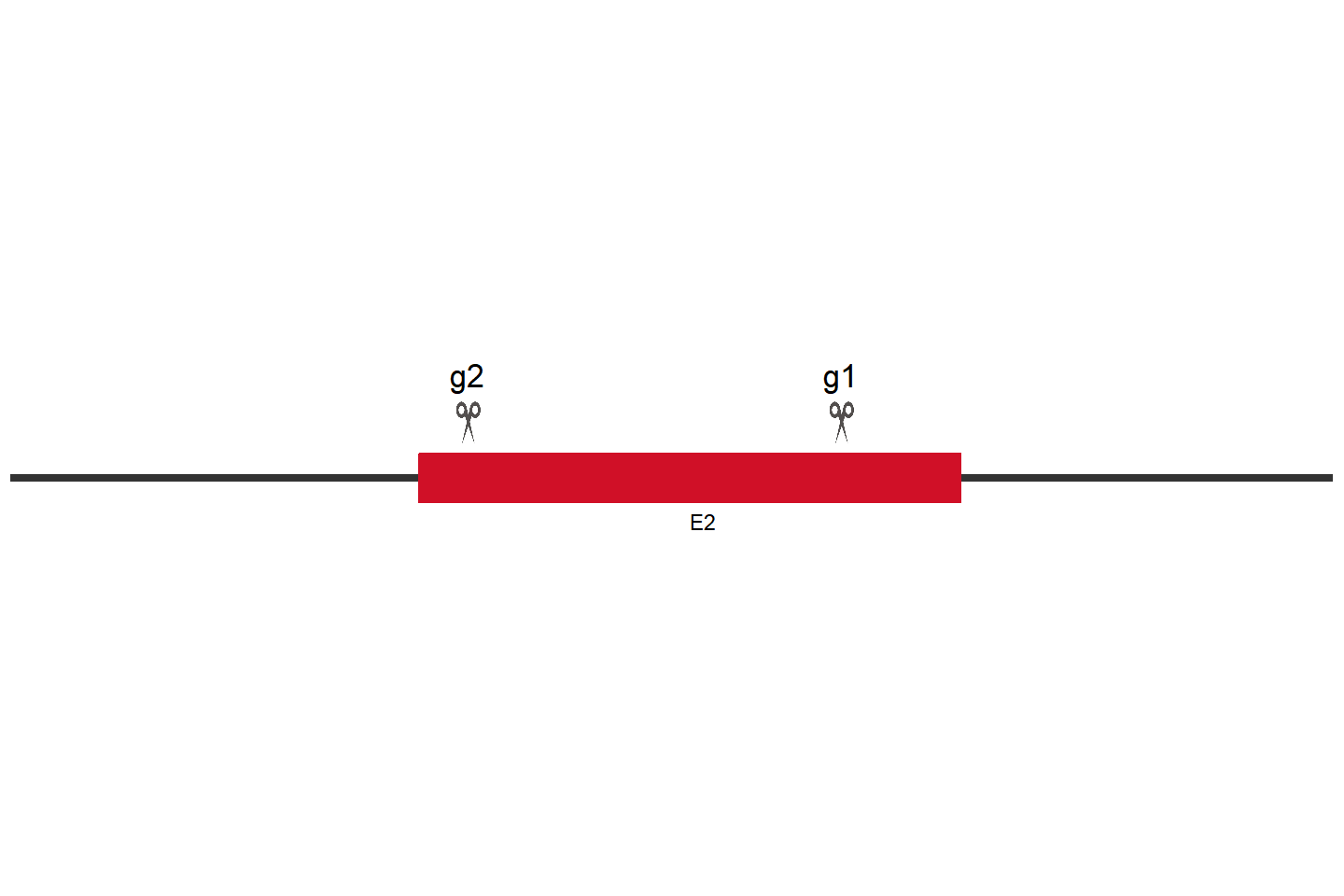 TREM1 Knockout cell line (Huh-7) Target region