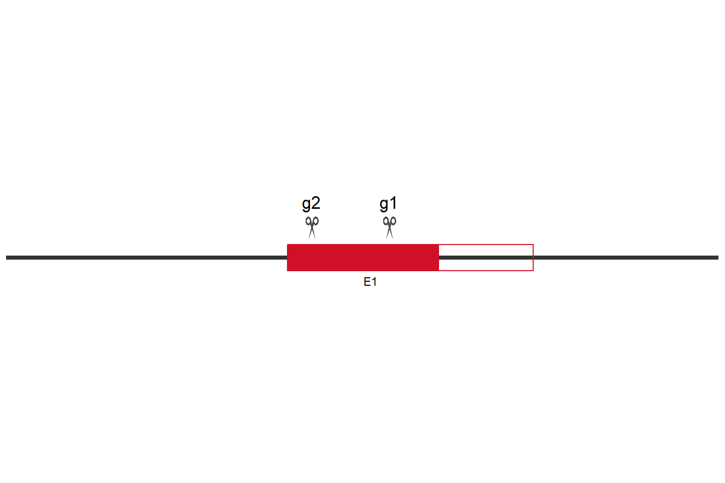 TNFRSF10D Knockout cell line (HEK293) Target region