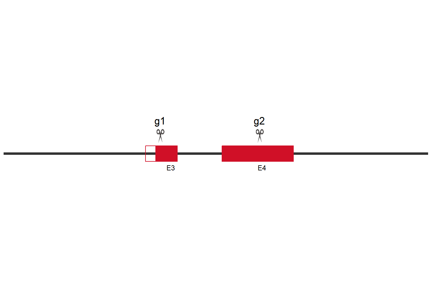 NR1H2 Knockout cell line  (Vips) Target region