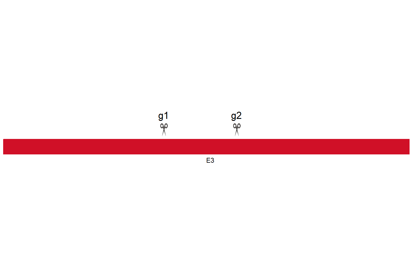 LRRC8A Knockout cell line (HEK293) Target region