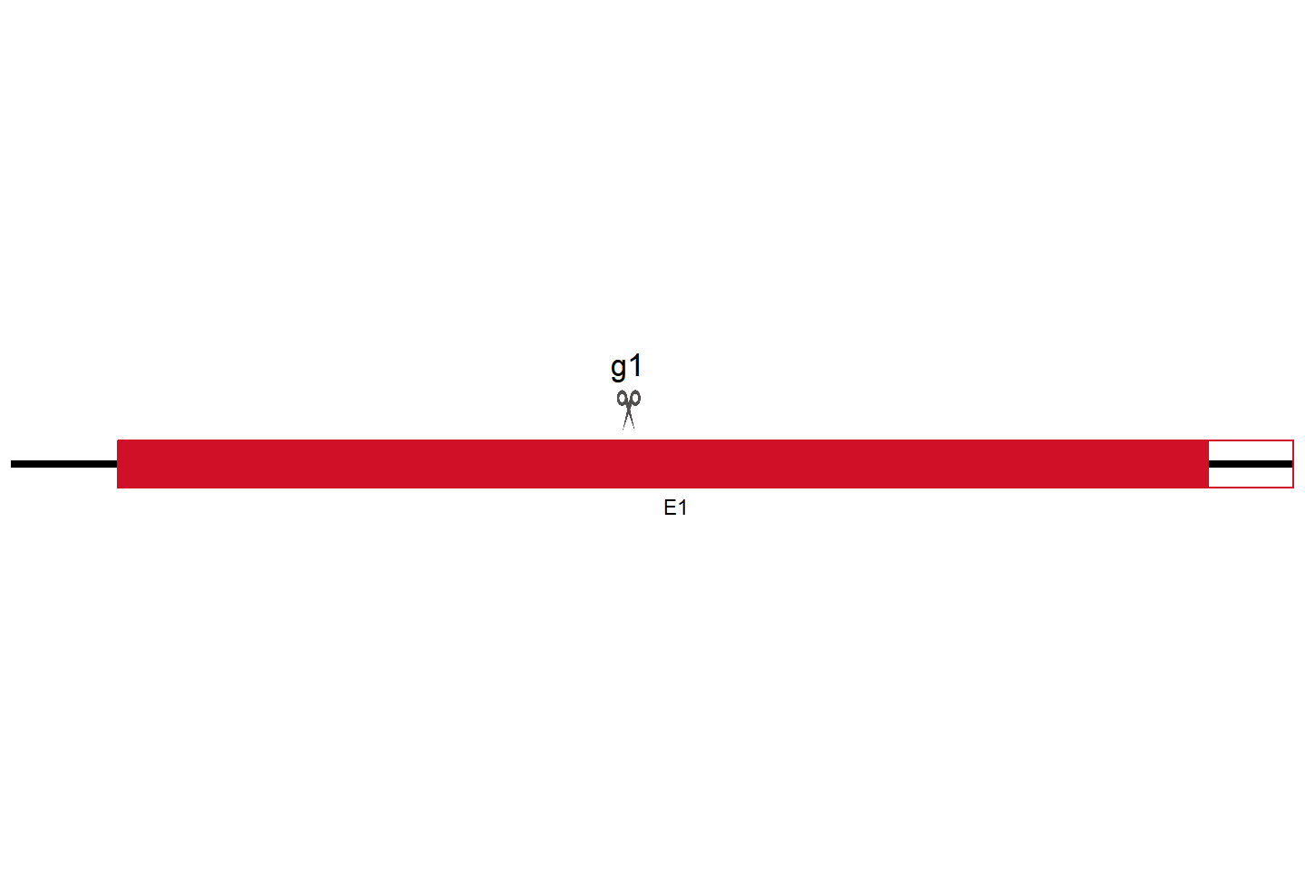 SVEP1 Knockout cell line (Vips) Target region