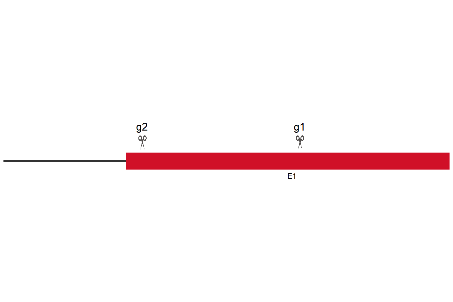 EGLN1 Knockout cell line (HEK293) Target region