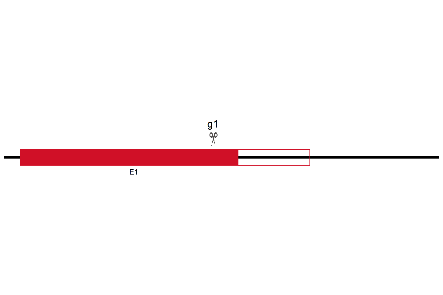 SERBP1 Knockout cell line (293T) Target region