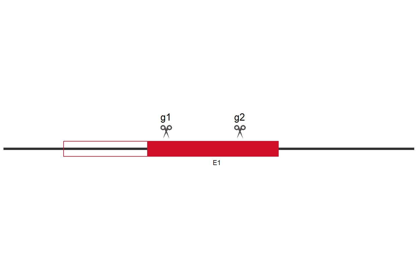 DKK1 Knockout cell line (A549) Target region