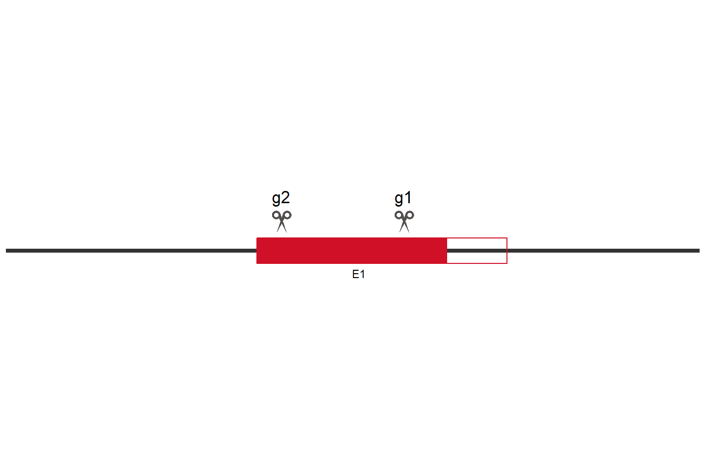 SAMHD1 Knockout cell line (A549) Target region