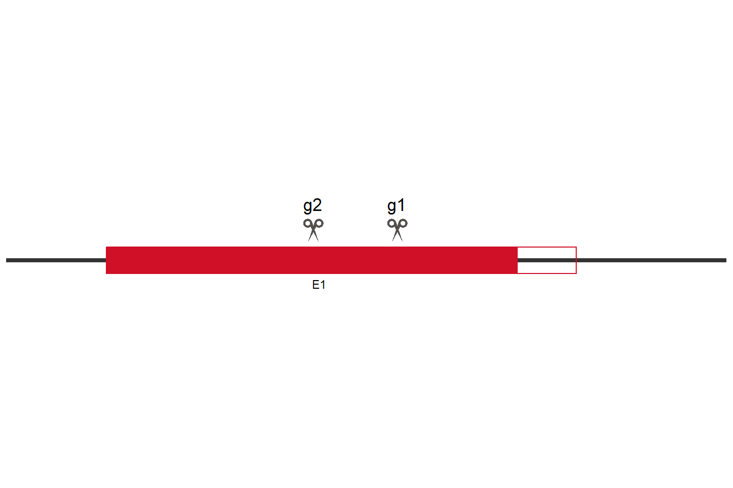 CLPB Knockout cell line (A549) Target region