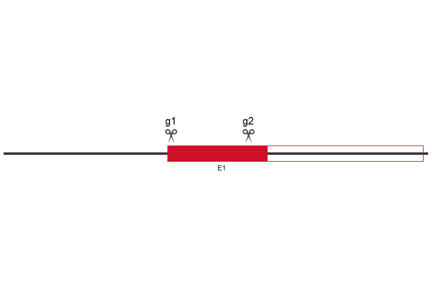 UBQLN1 Knockout cell line (A549) Target region