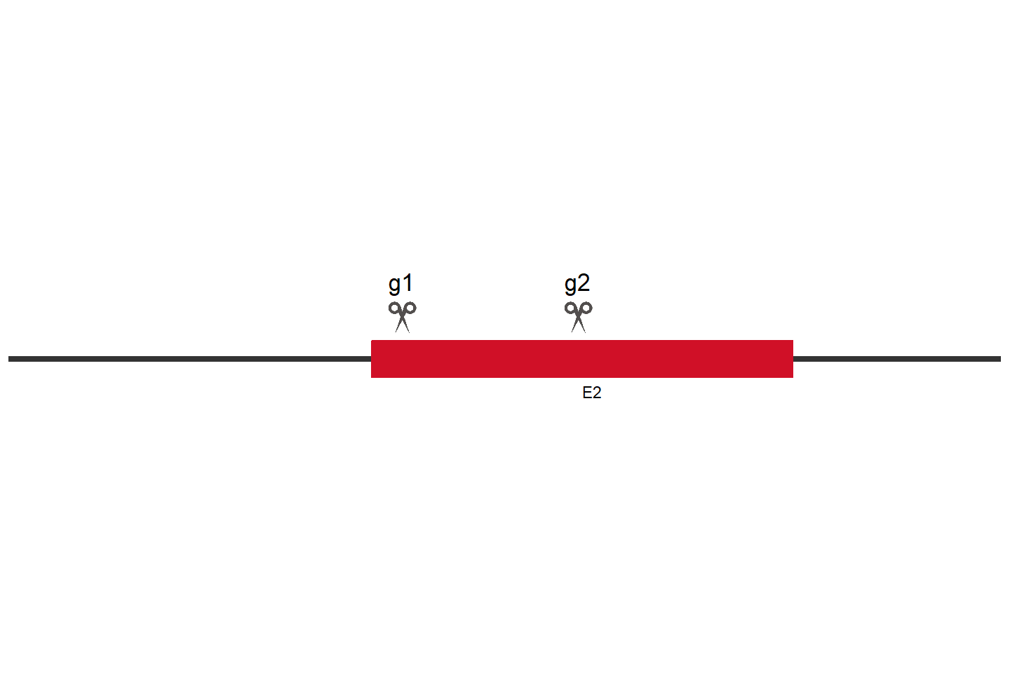 SLAMF7 Knockout cell line (A549) Target region