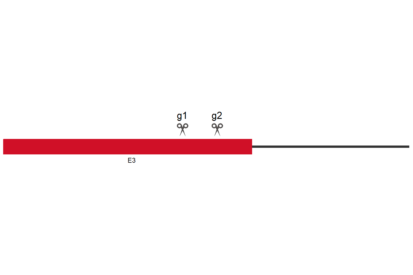 DAXX Knockout cell line (HCT 116) Target region