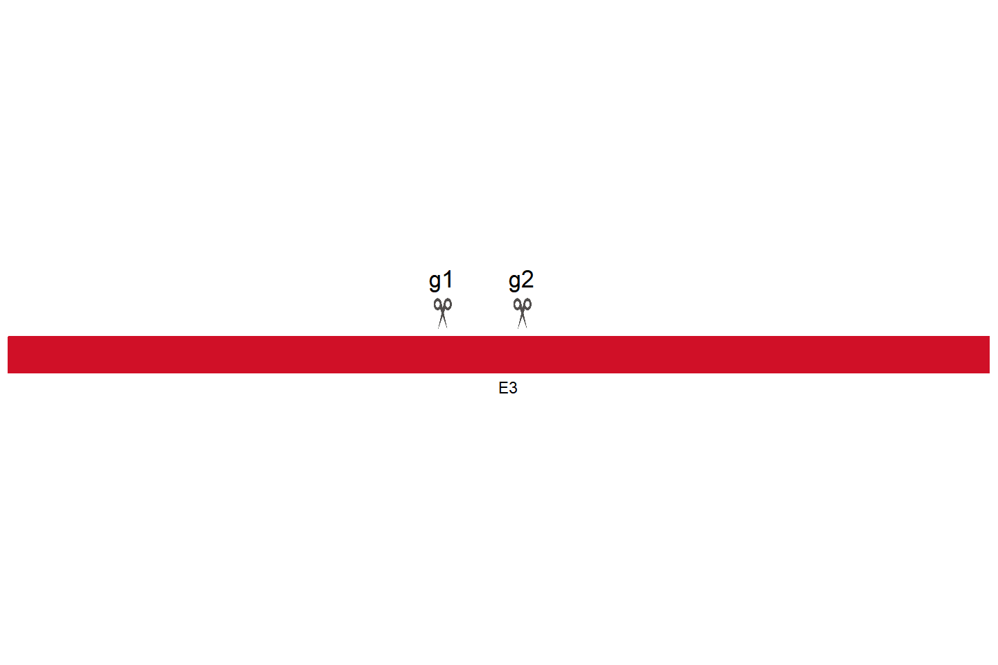 SETD2 Knockout cell line (THP-1) Target region