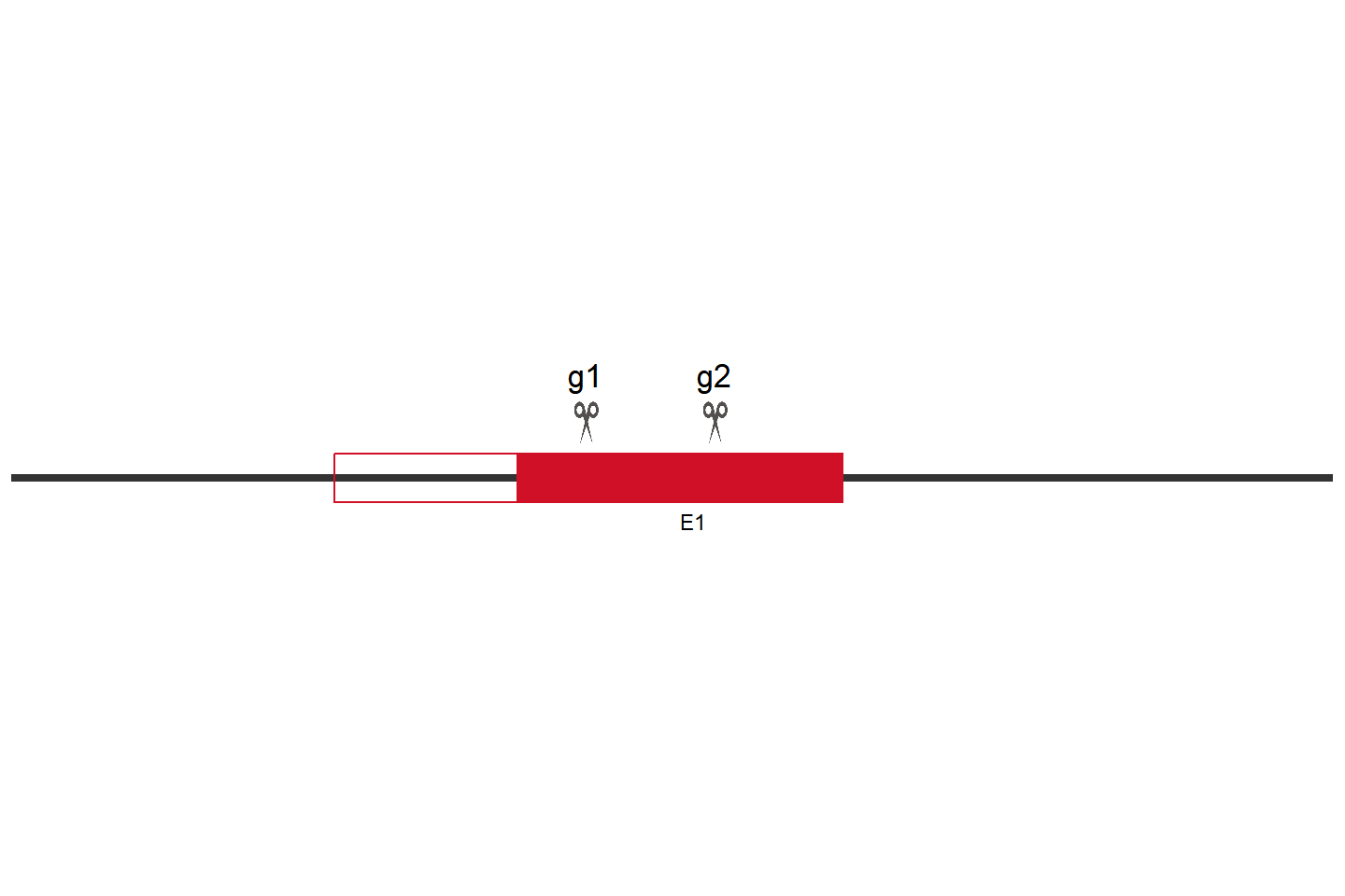 PRDX5 Knockout cell line (Hep G2) Target region