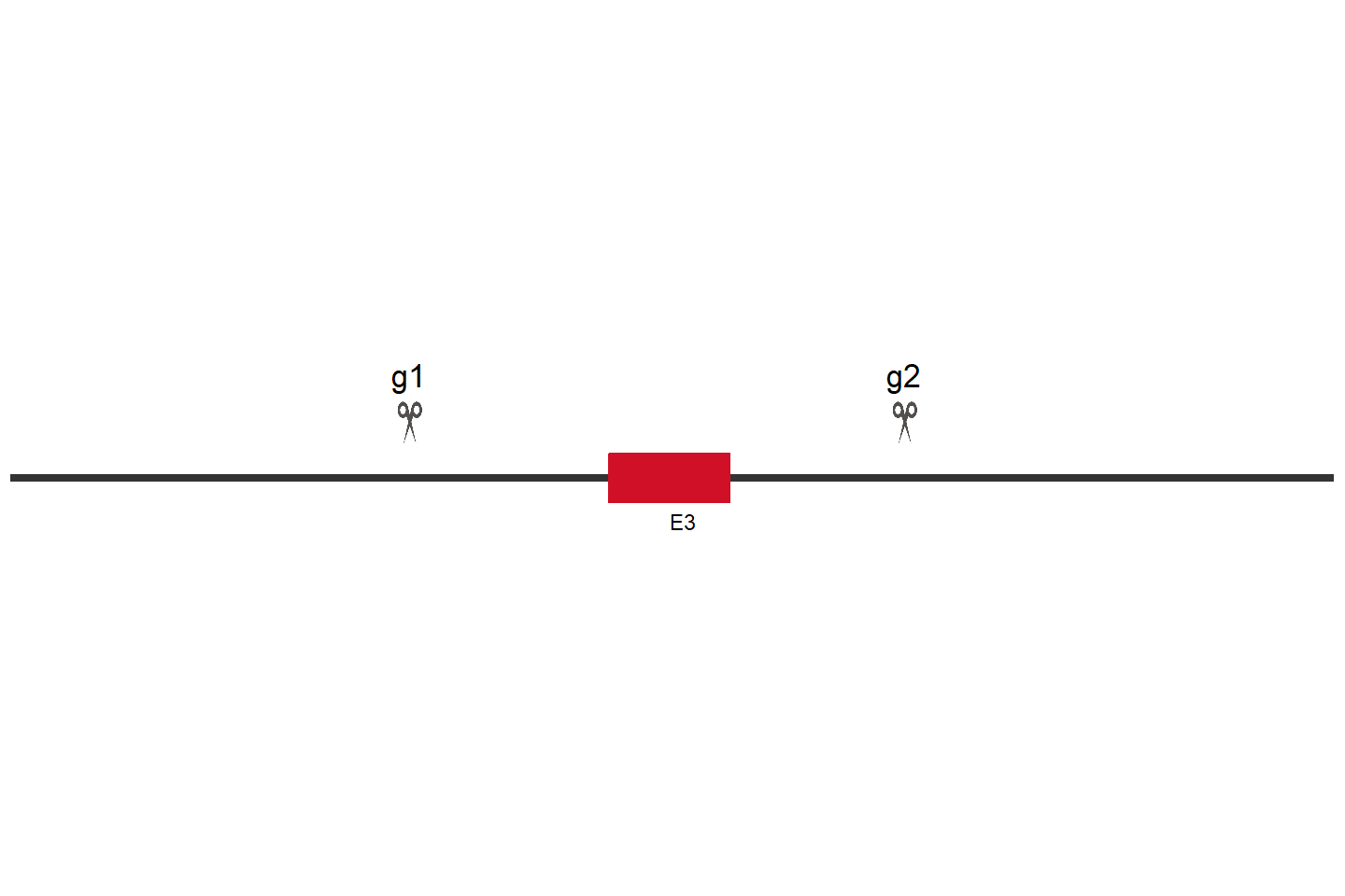 KREMEN1 Knockout cell line (Hep G2) Target region