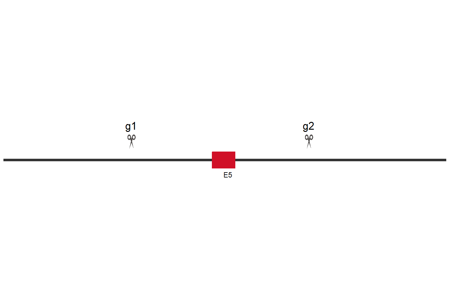 SFXN5 Knockout cell line (Hep G2) Target region