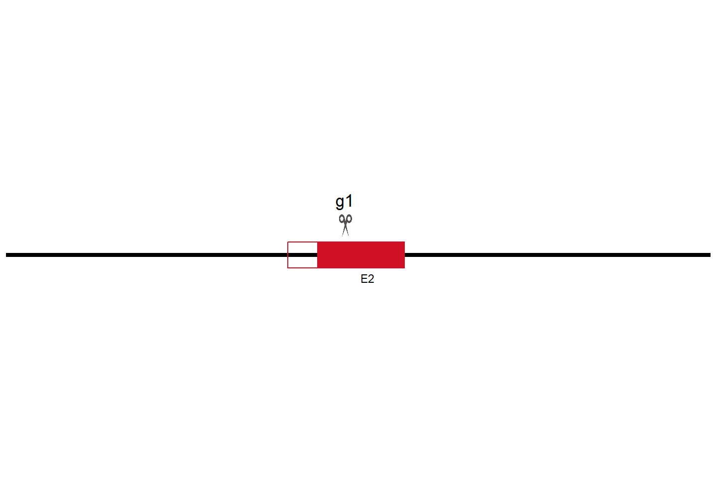 LYPLA2 Knockout cell line (Hep G2) Target region