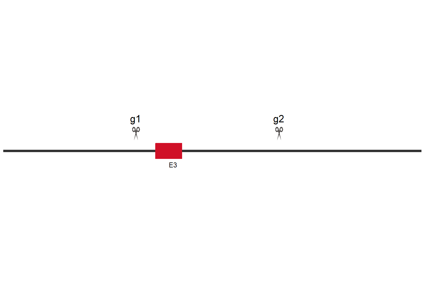 LMBRD1 Knockout cell line (Hep G2) Target region