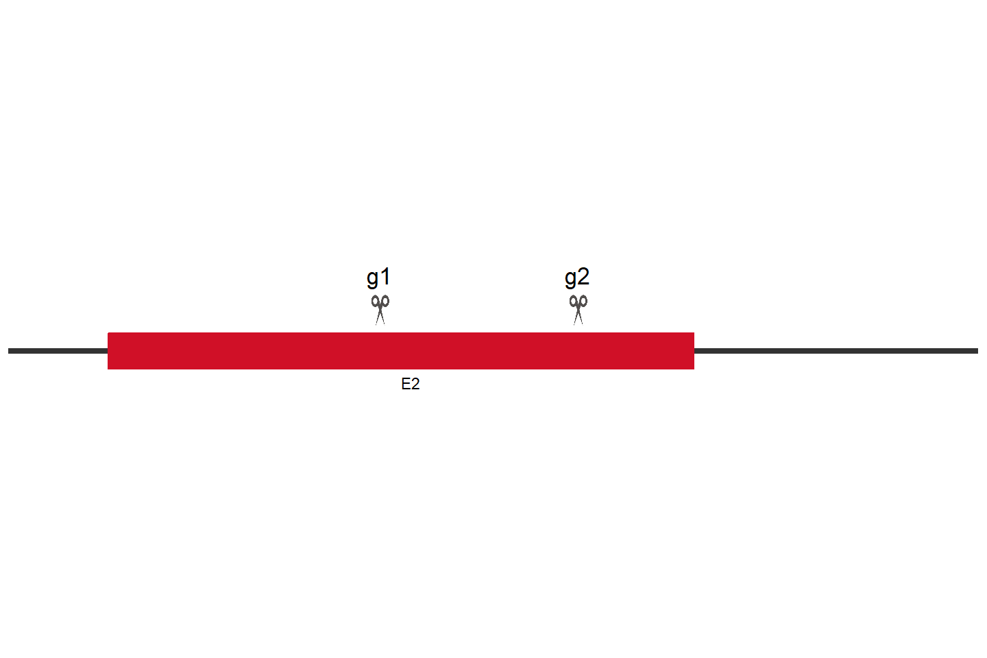 PCSK1N Knockout cell line (Hep G2) Target region