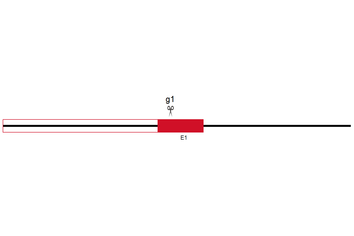 AP1AR Knockout cell line (Hep G2) Target region