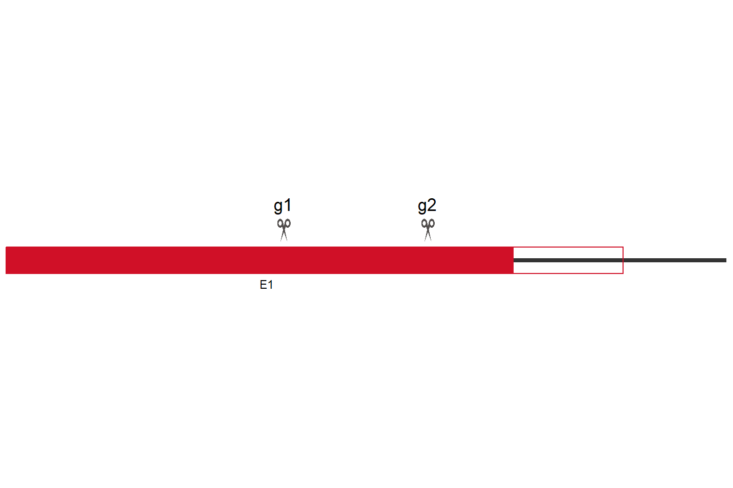 PTCHD3 Knockout cell line (Hep G2) Target region