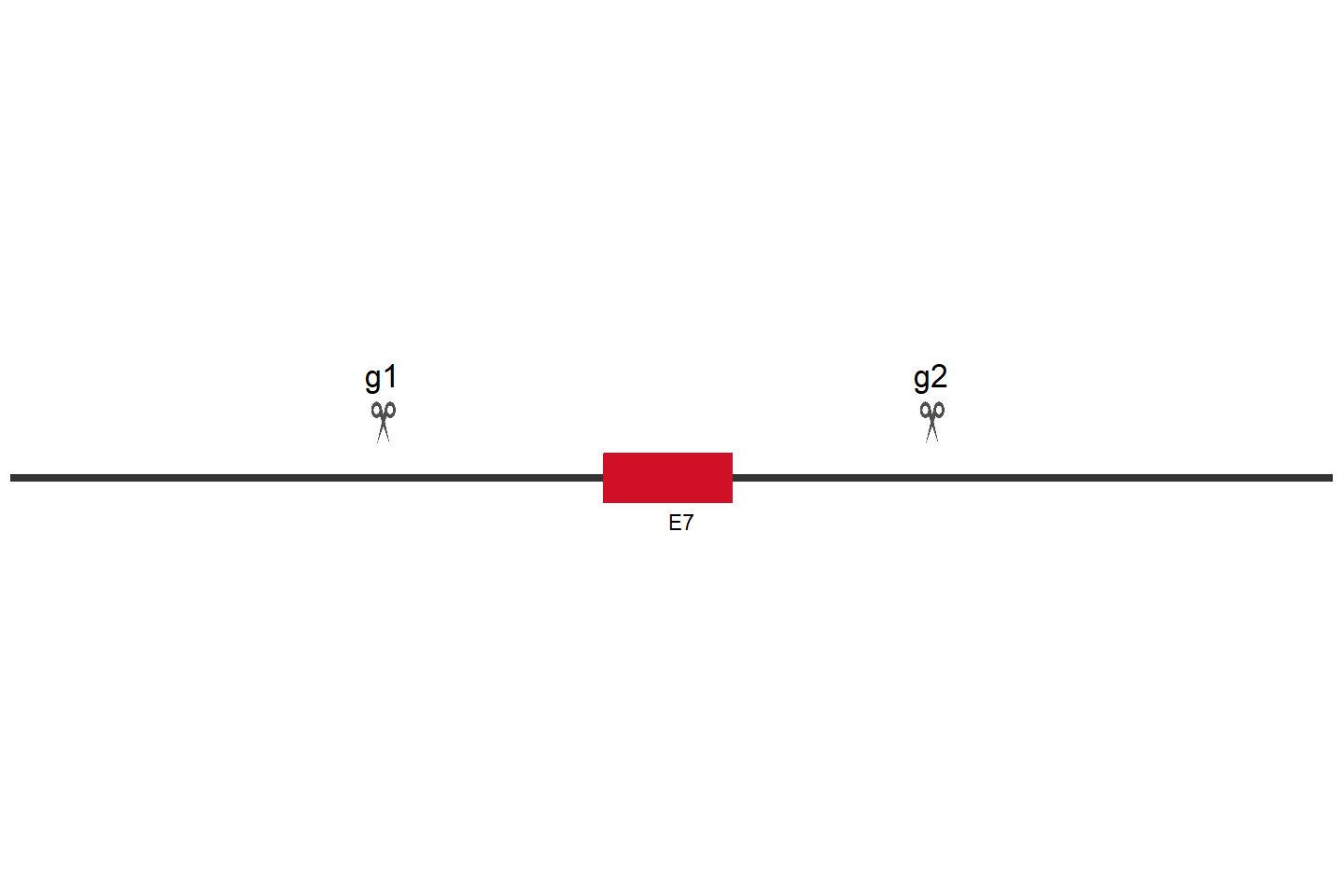 SUPT20H Knockout cell line (Hep G2) Target region