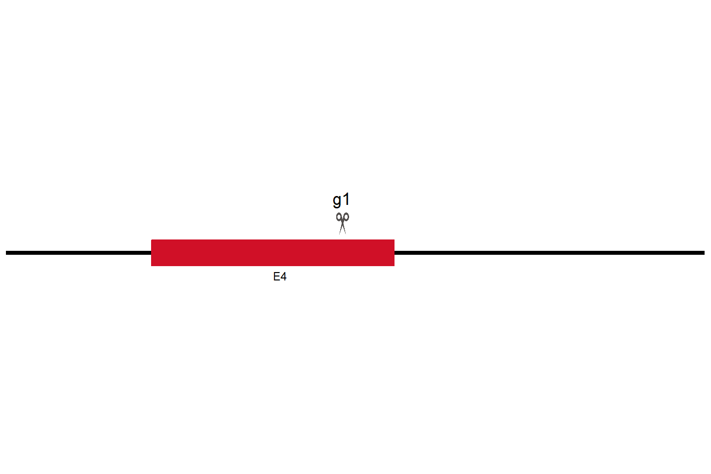 FAHD2B Knockout cell line (Hep G2) Target region