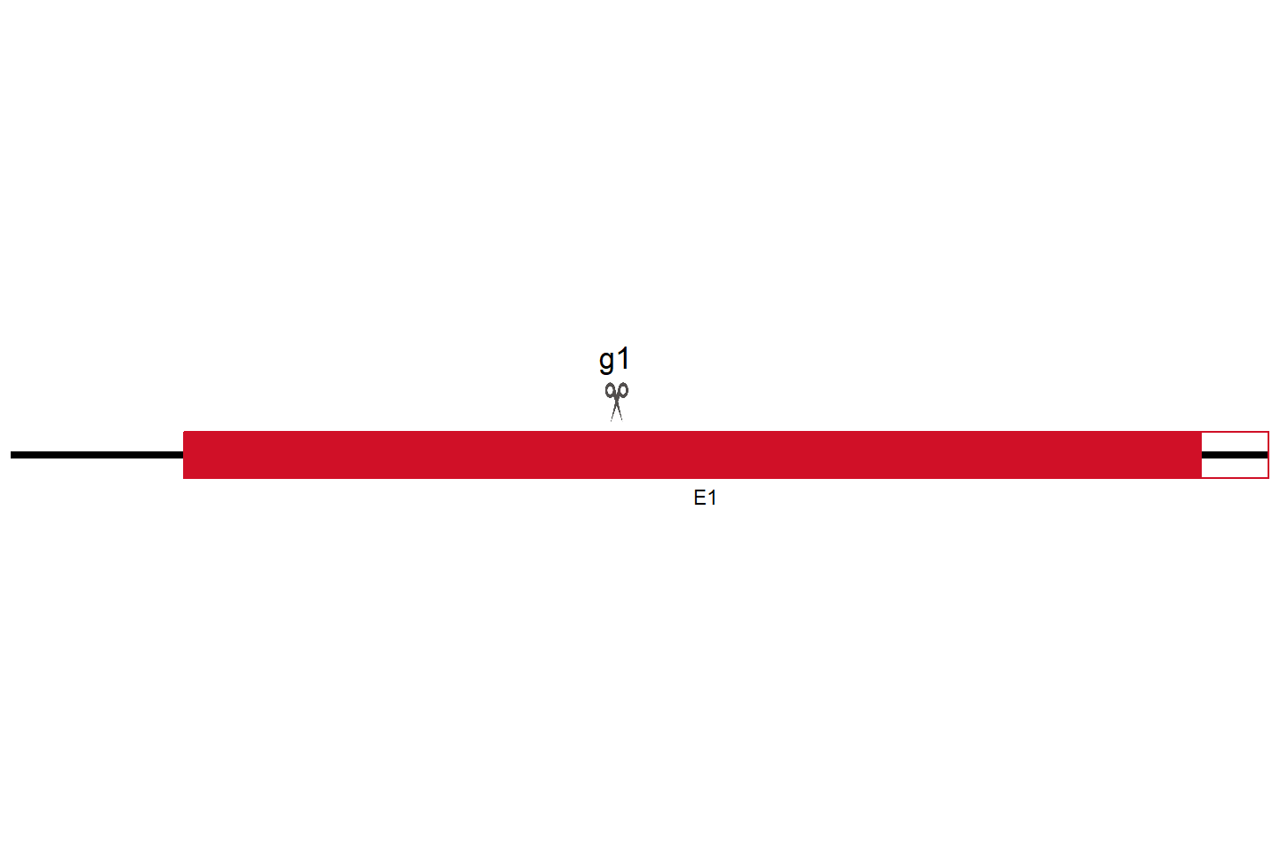 FBXW10B Knockout cell line (Hep G2) Target region