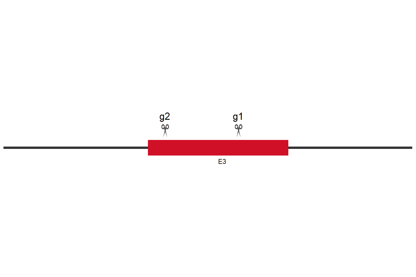 SRRD Knockout cell line (Hep G2) Target region