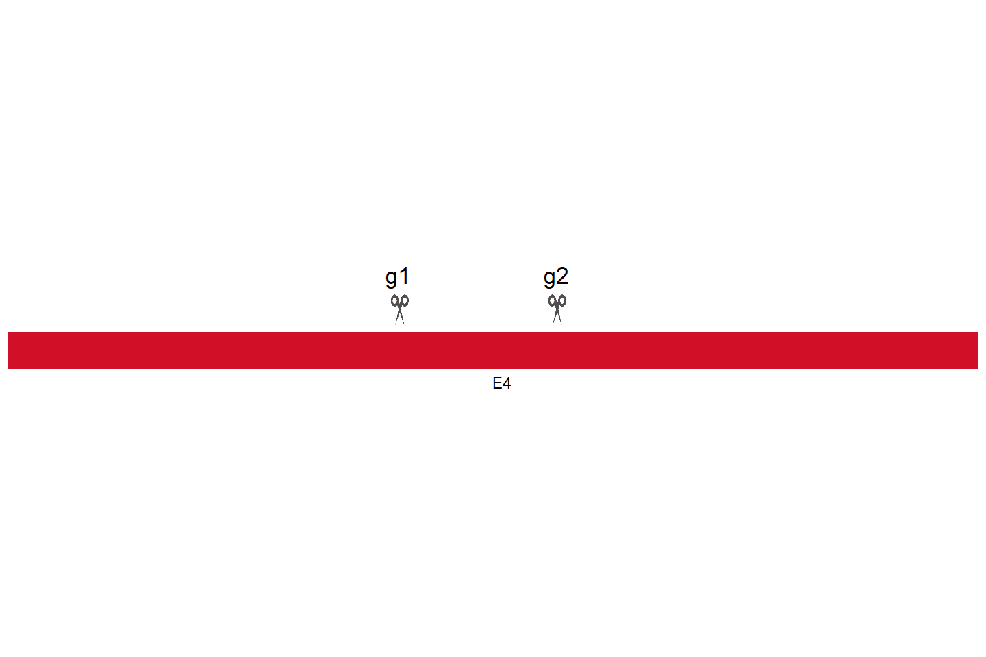 MIOS Knockout cell line (Hep G2) Target region